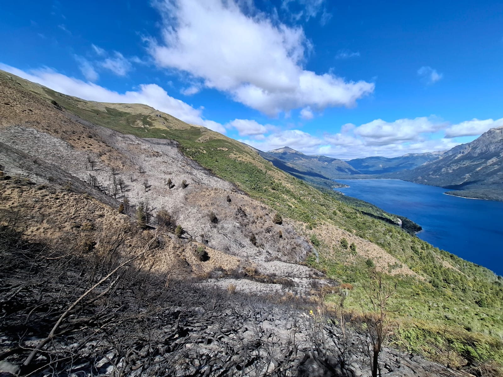 Incendio en el Cerro Meta de Bariloche está extinguido