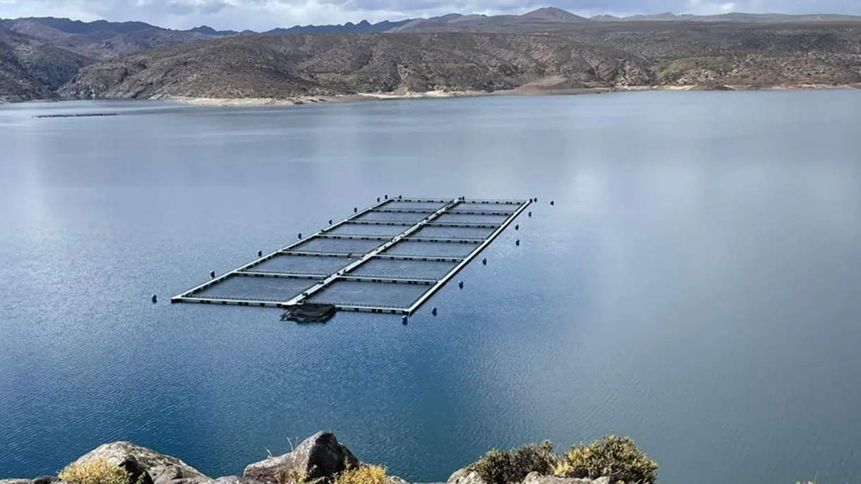 Estudian la capacidad de carga del embalse Piedra del Águila