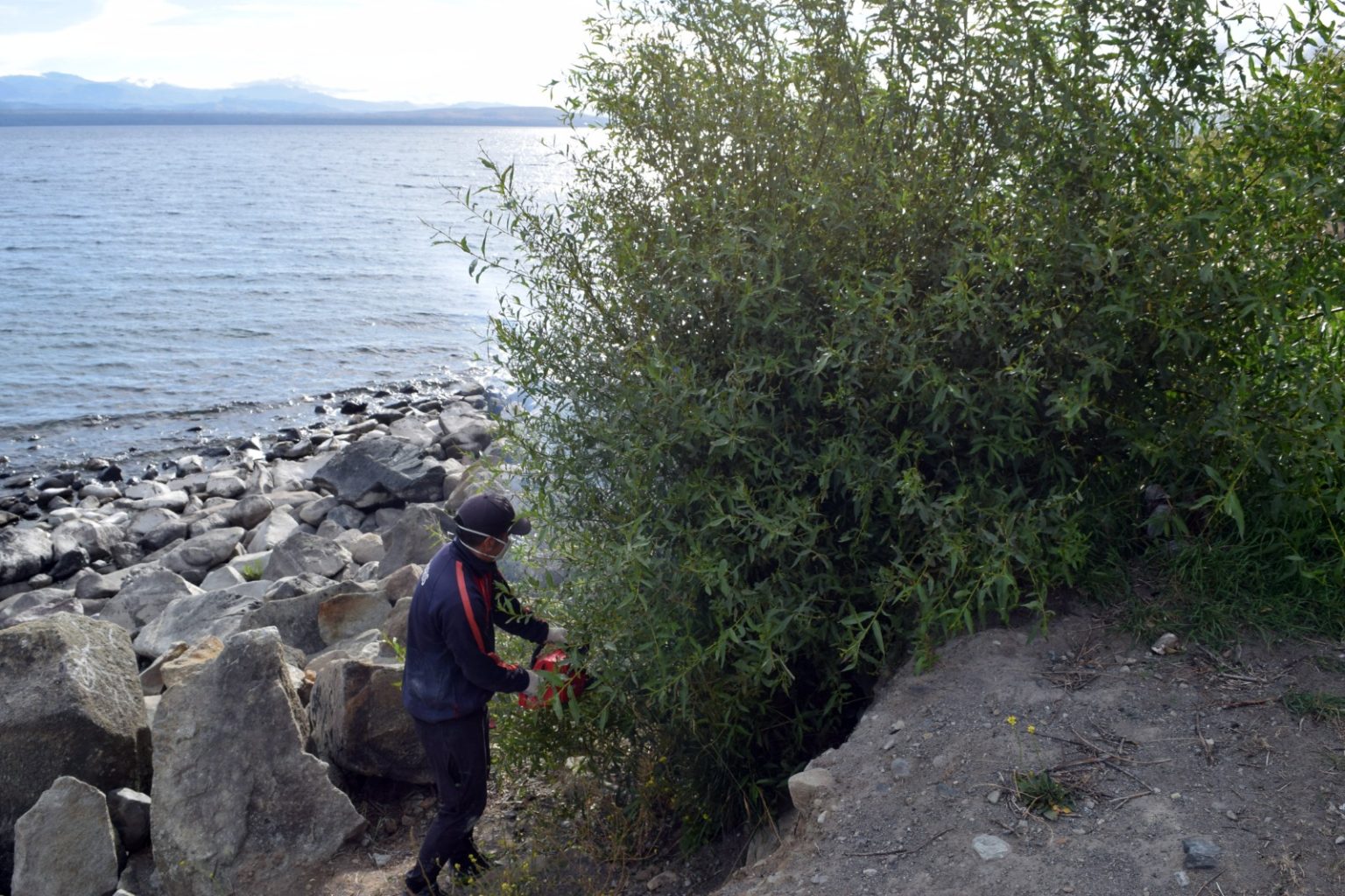 Comenzó la limpieza de la Costanera de Bariloche