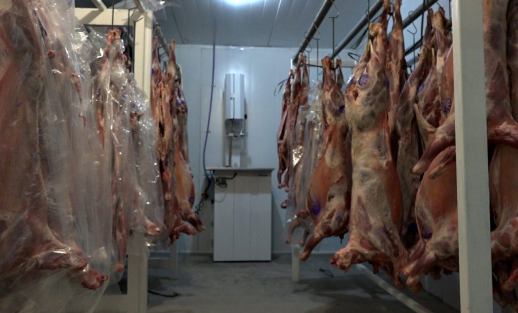 Bariloche: continúa la venta de capones de la Línea Sur