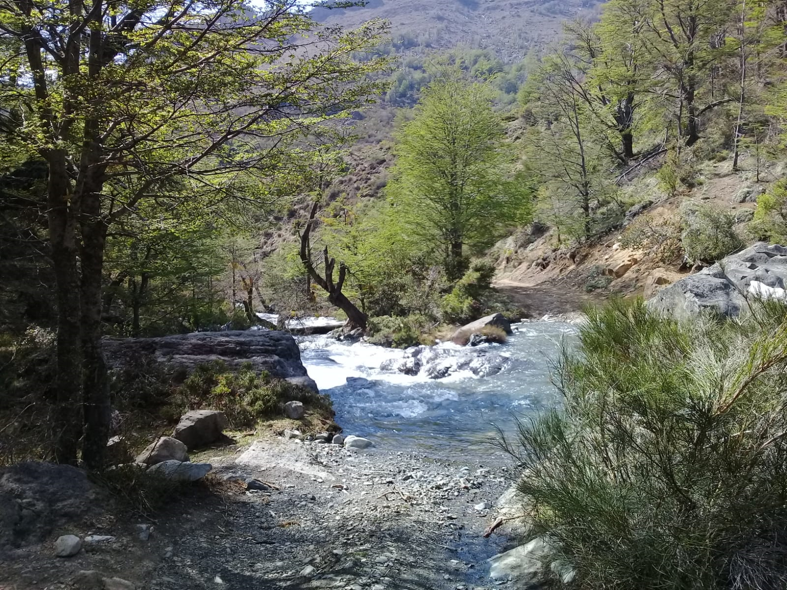 Solicitan urgente intervención por la preocupante situación de las nacientes del arroyo Ñireco