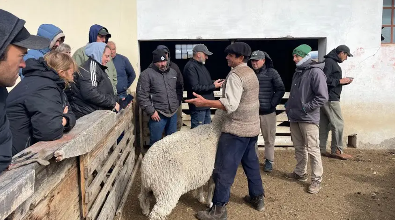 Ganadería: saberes, genética y alianzas para una Patagonia más fuerte