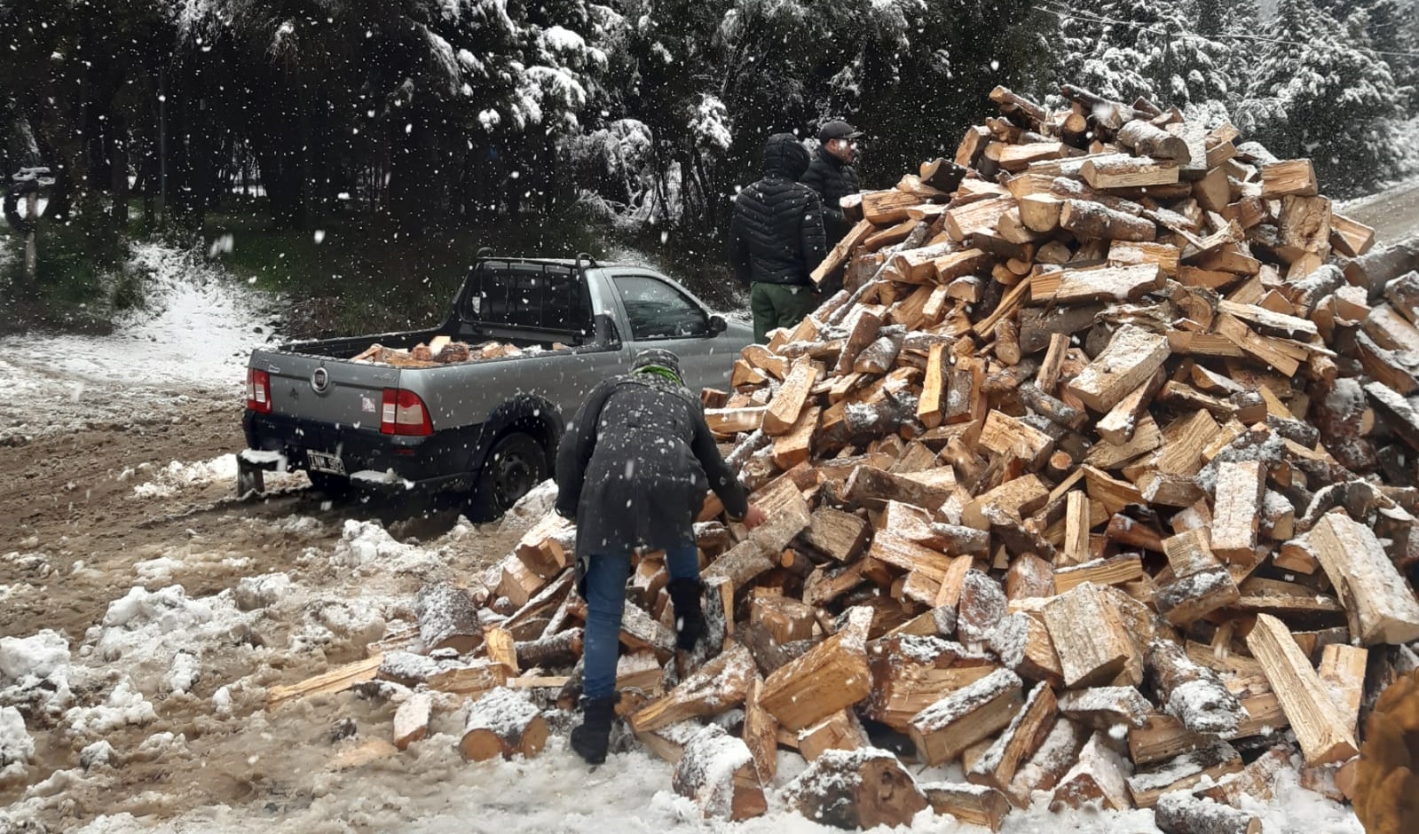 Ya está disponible la inscripción al Plan Calor leña de Bariloche
