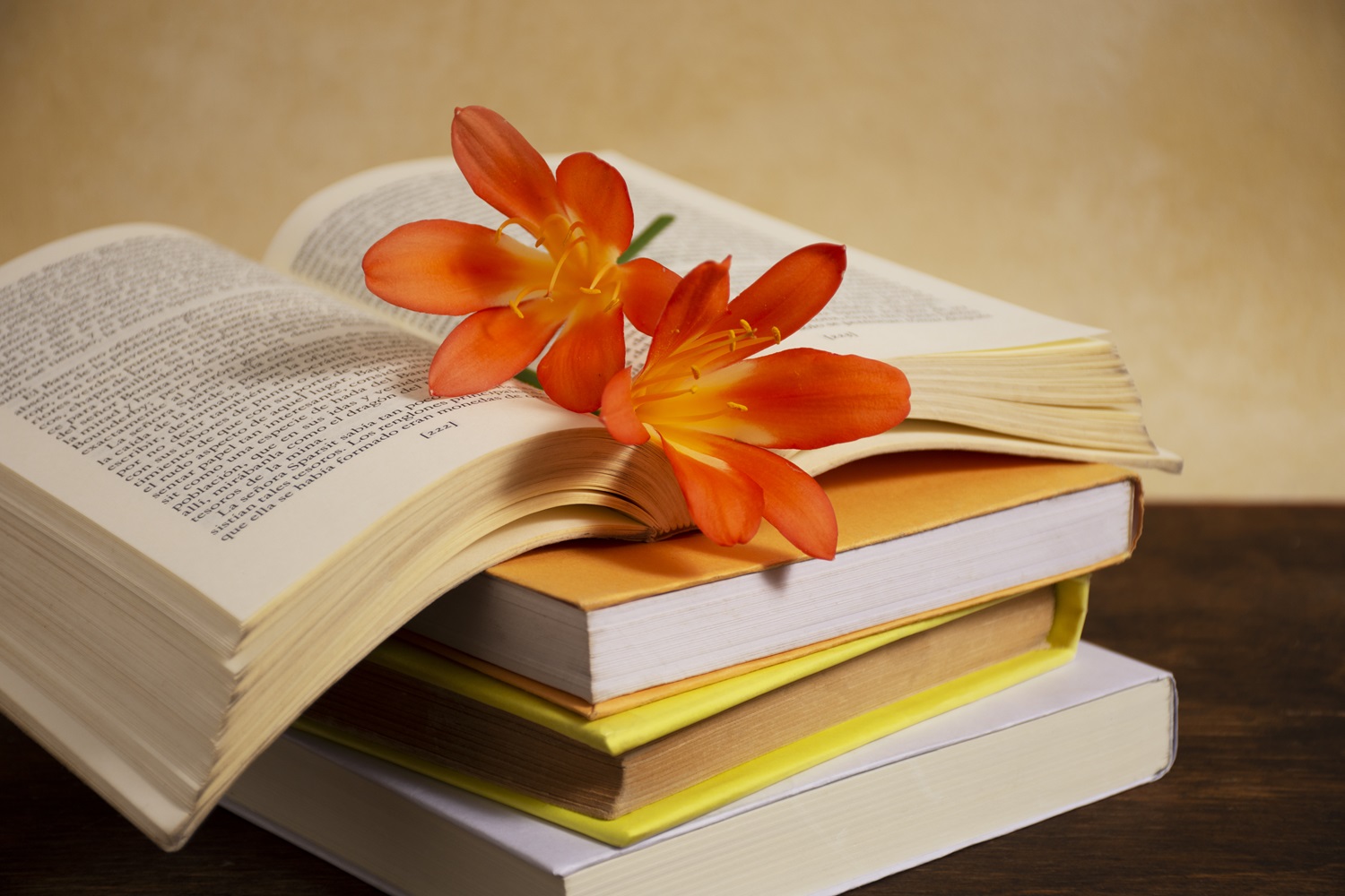 Día del libro y de los derechos de autor