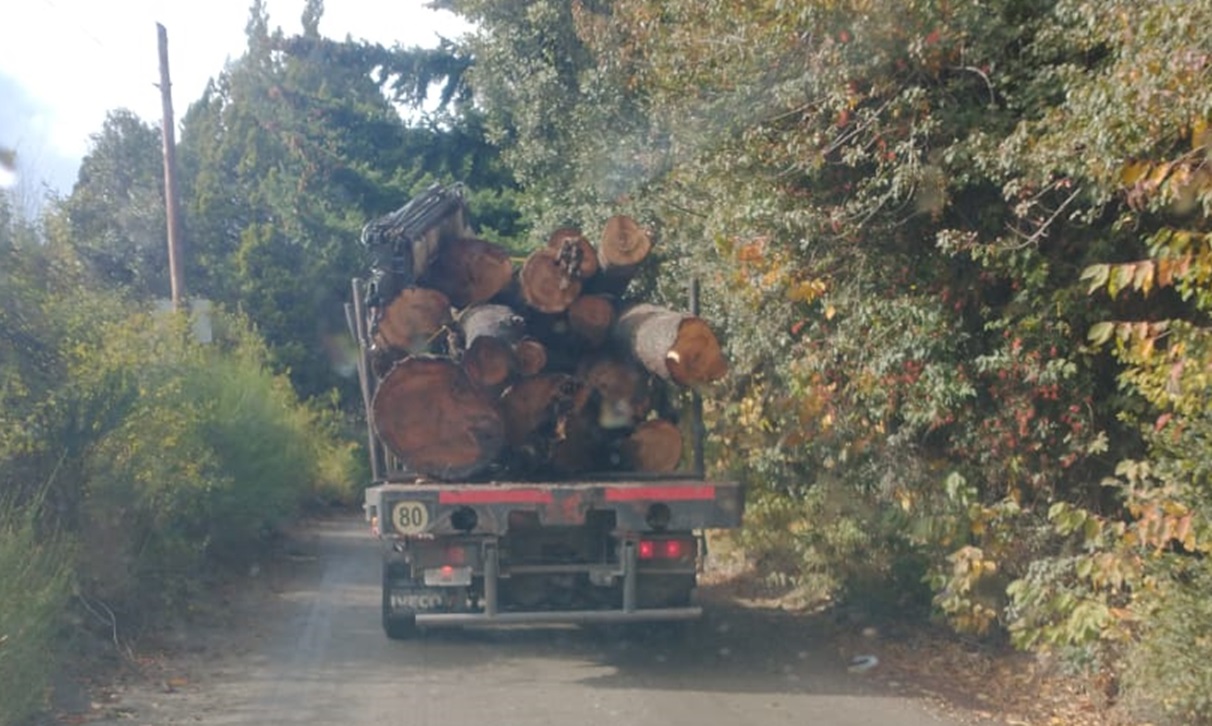 Bariloche: reclaman la paralización inmediata del proyecto CAUMA por graves irregularidades