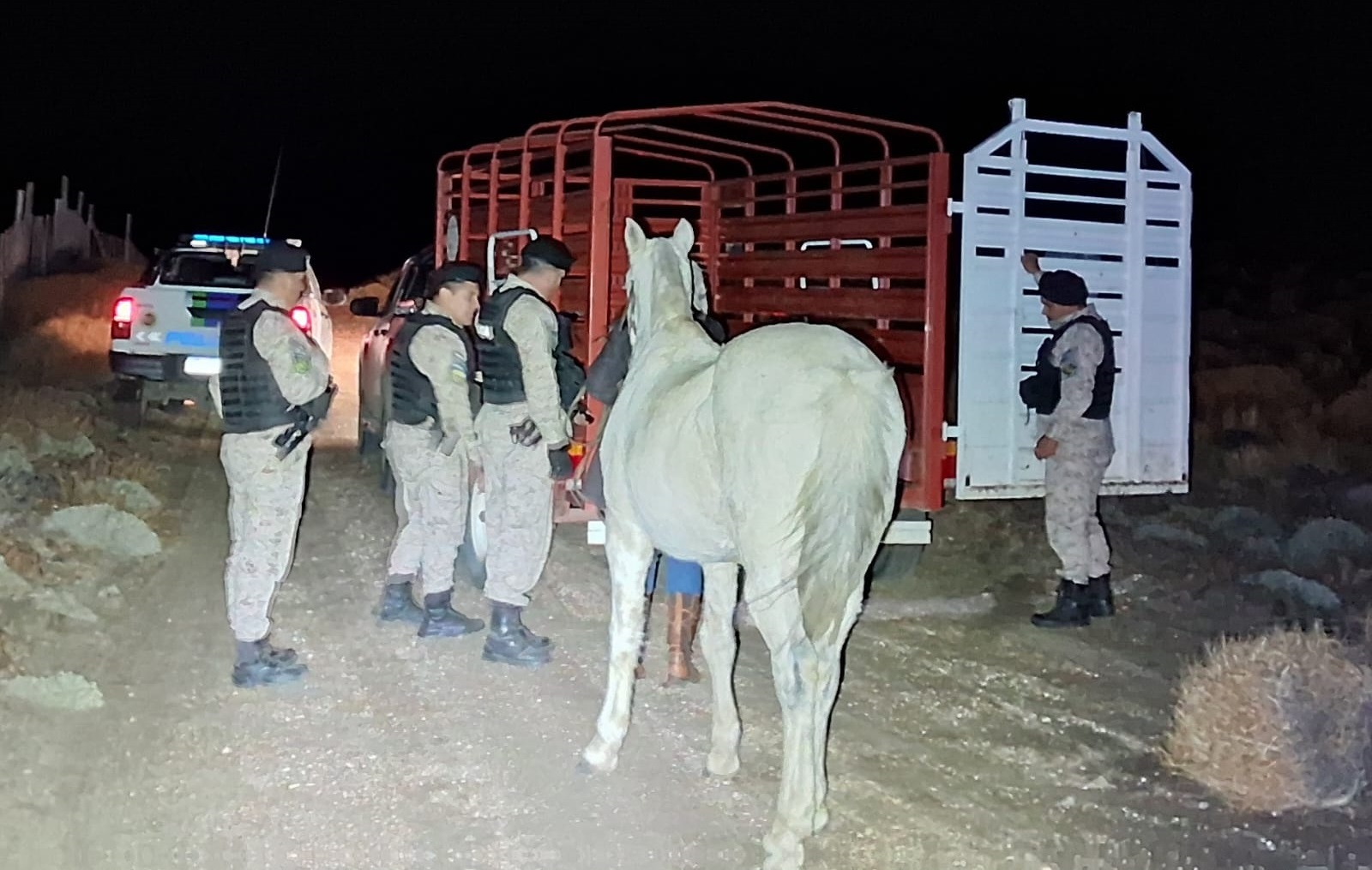 La policía recuperó un equino que fue robado de una zona rural
