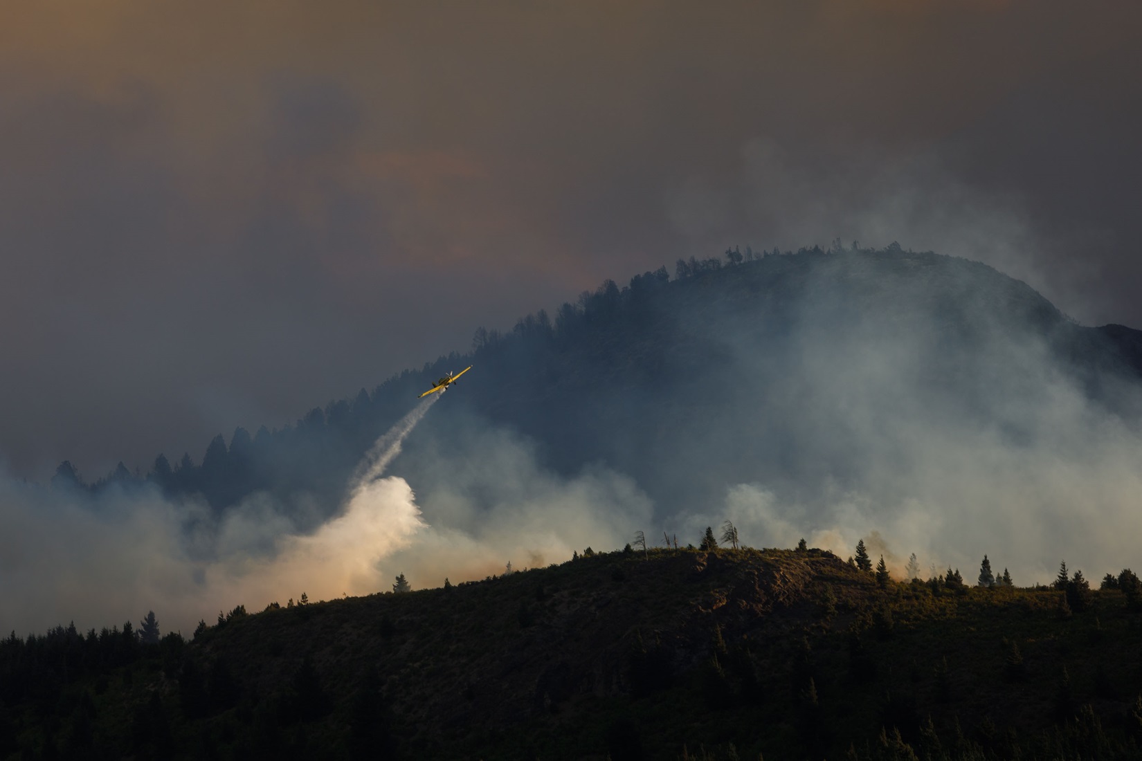 Se cuadruplicó la superficie de bosques patagónicos afectada por incendios forestales