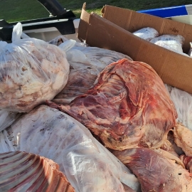 Bariloche: secuestran un vacuno de 100 kilos faenado clandestinamente