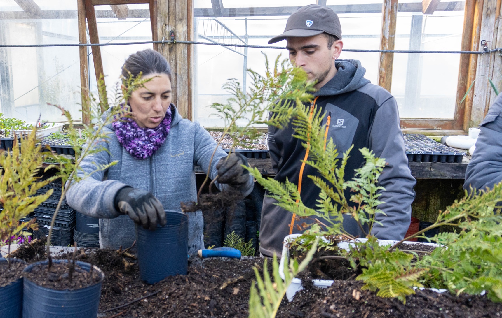 Día Internacional de la Fascinación por las Plantas