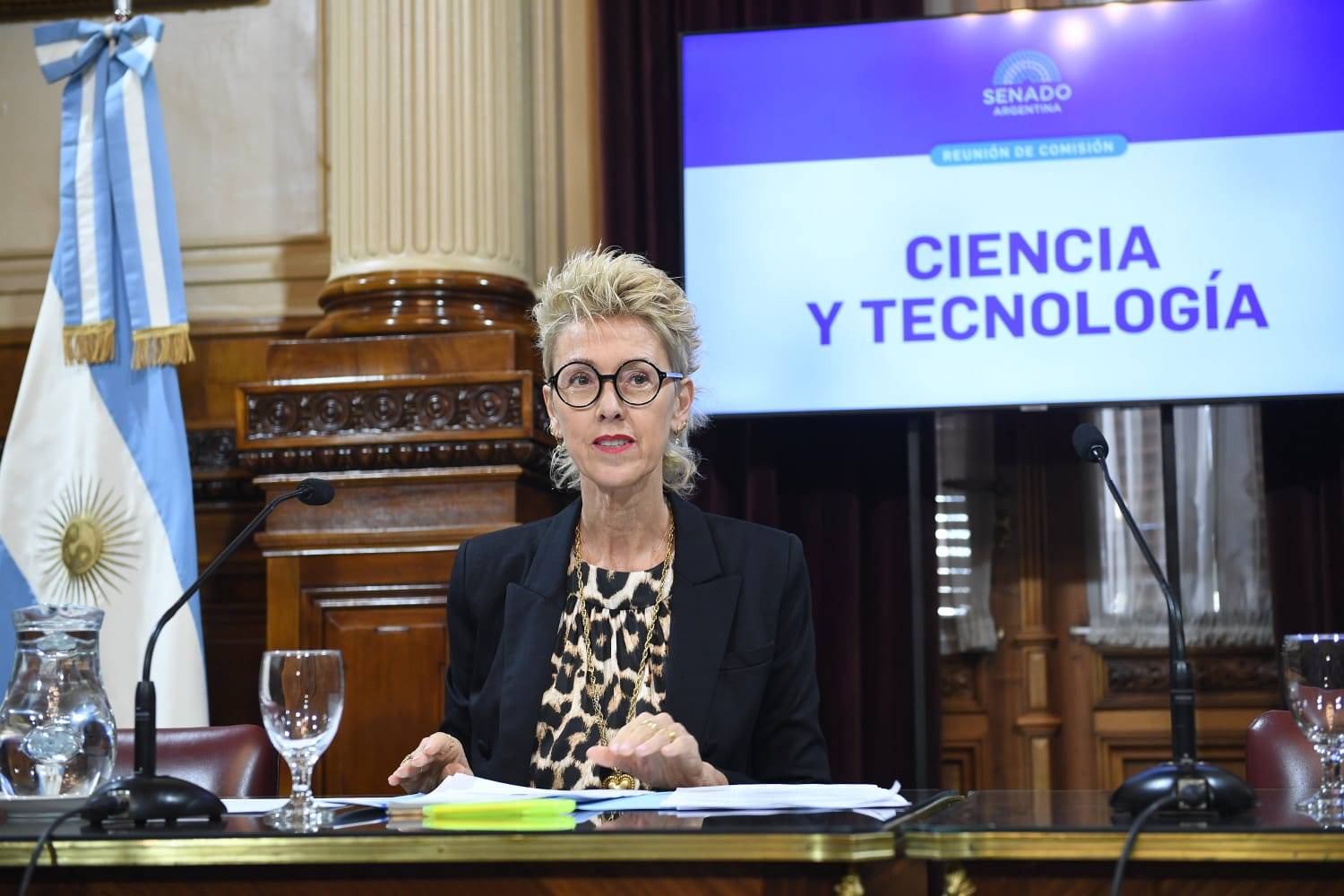 (((video))) García Larraburu fue ratificada como Presidenta de Ciencia y Tecnología del Senado