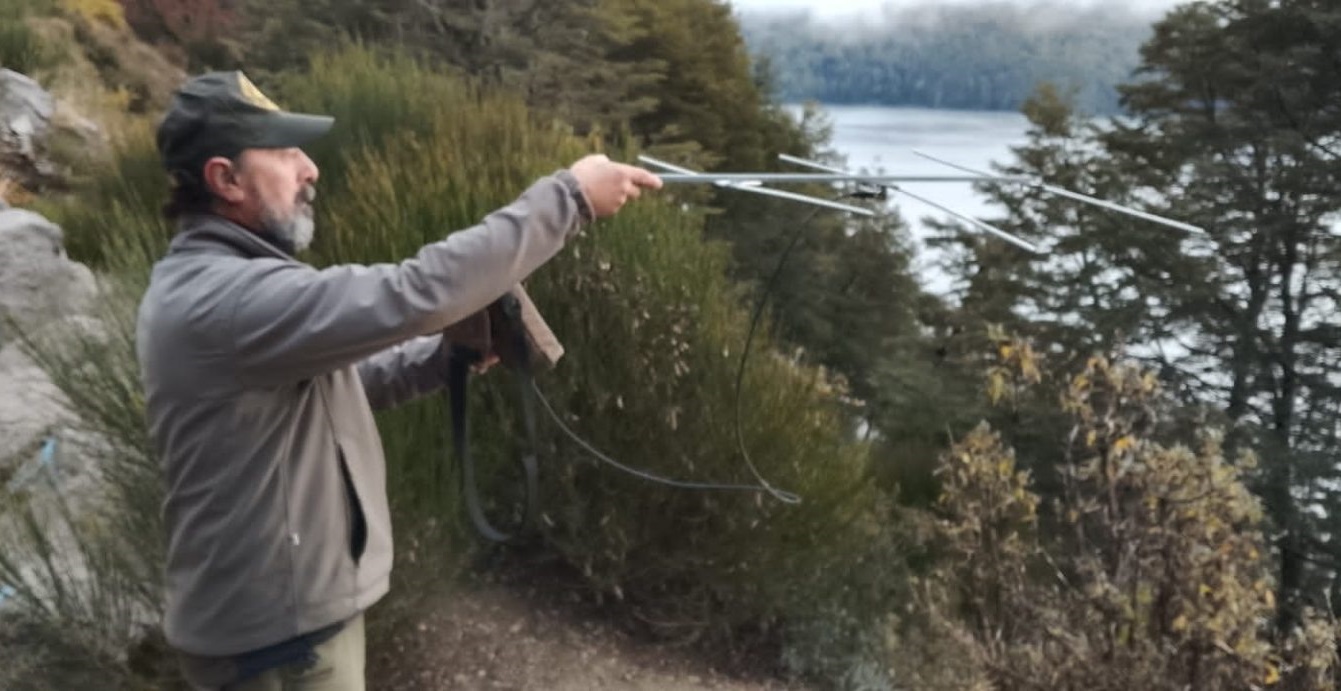 Monitoreo de Newenche: avance en la conservación del Huemul