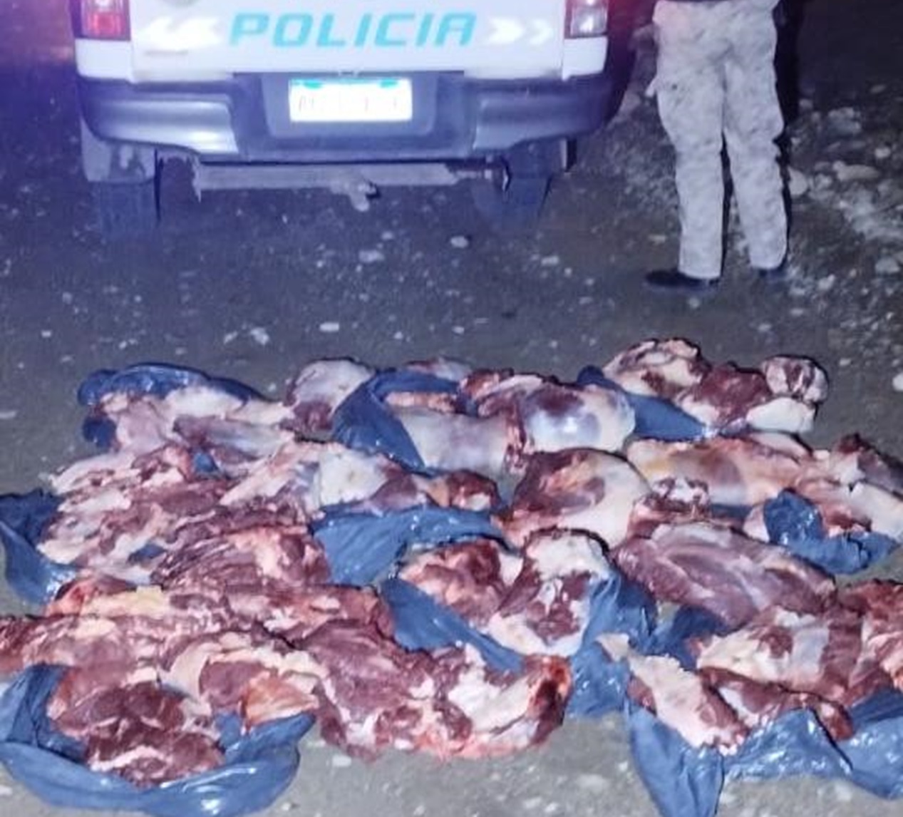 Bariloche: más de 200 kilos de carne faenada y transportada irregularmente