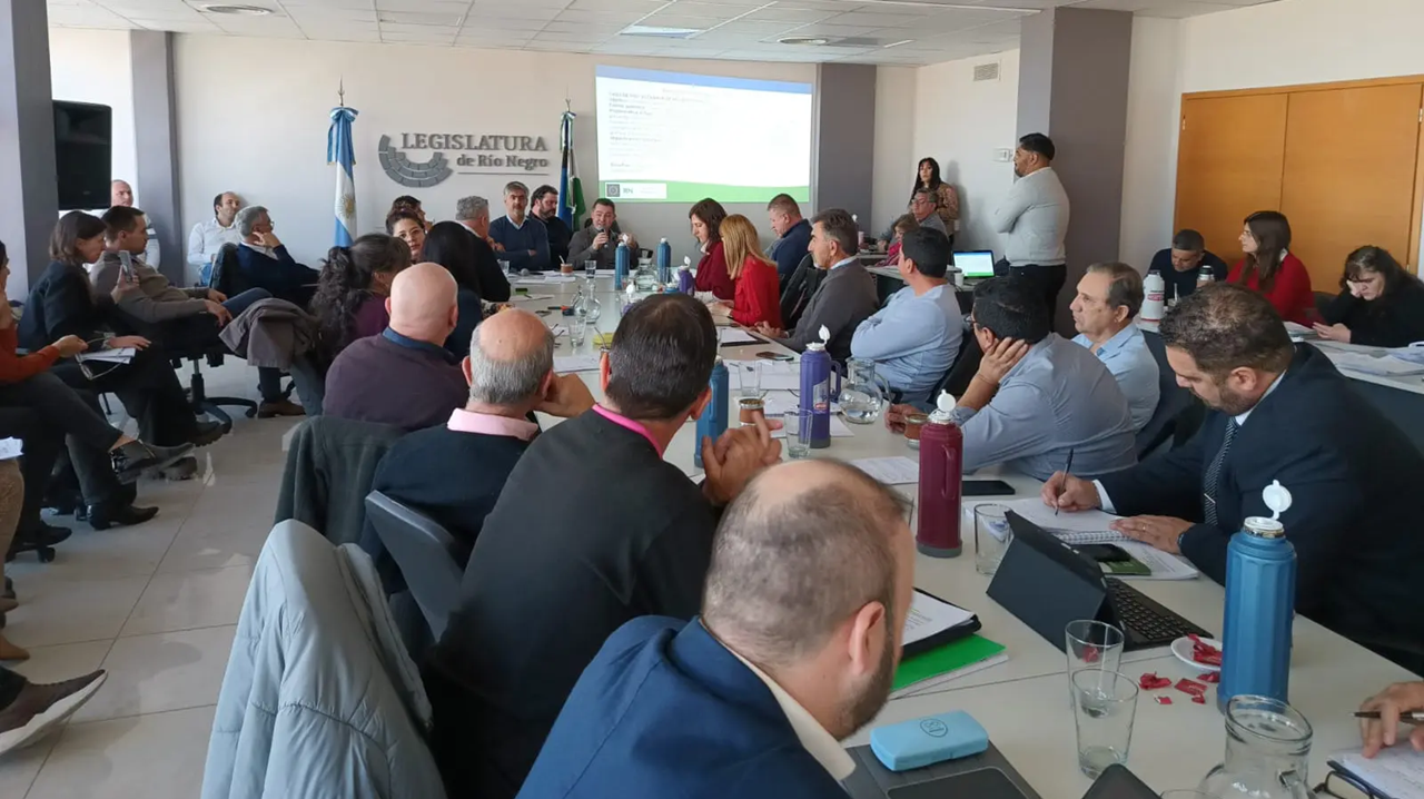 Paso clave para una ley que simplificará los trámites en el Estado rionegrino