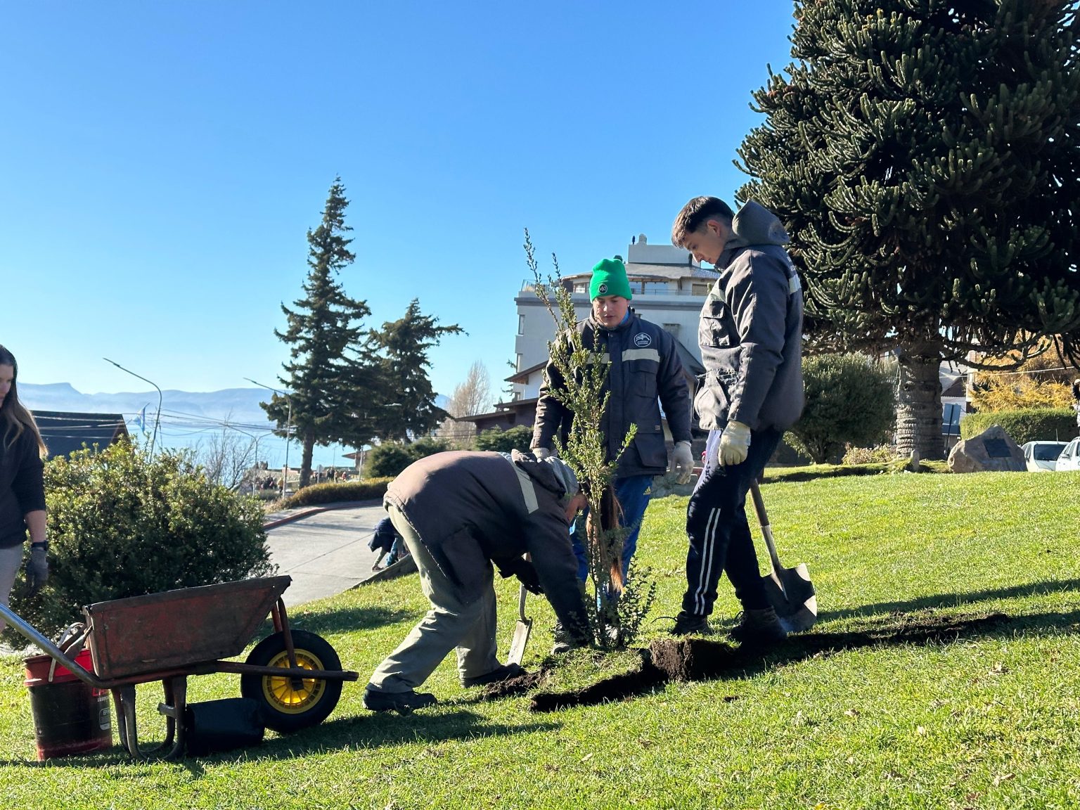 Donación de plantas de la UNRN para Parques y Jardines