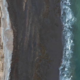 Río Negro fortalece su compromiso con la conservación marina