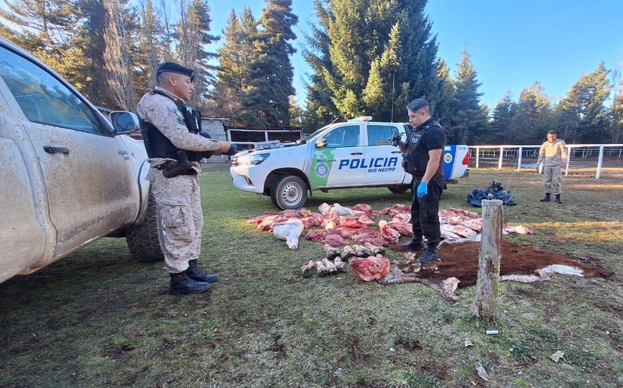 Huyó con carne faenada de un control y amenazó al personal con un cuchillo