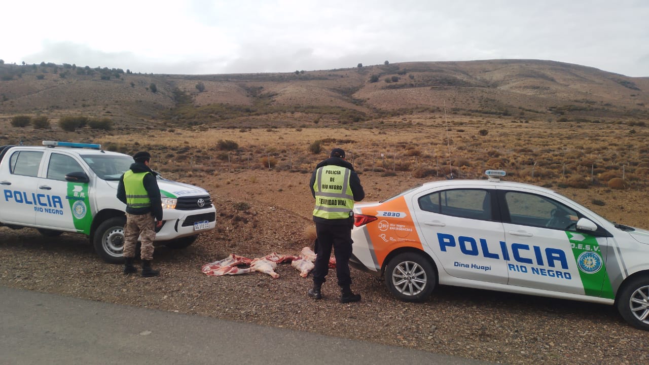 Dina Huapi: nuevo secuestro de carne vacuna faenada clandestinamente