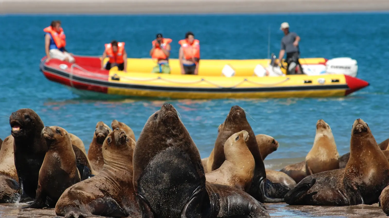 Naturaleza y aventura para disfrutar el fin semana largo en Río Negro
