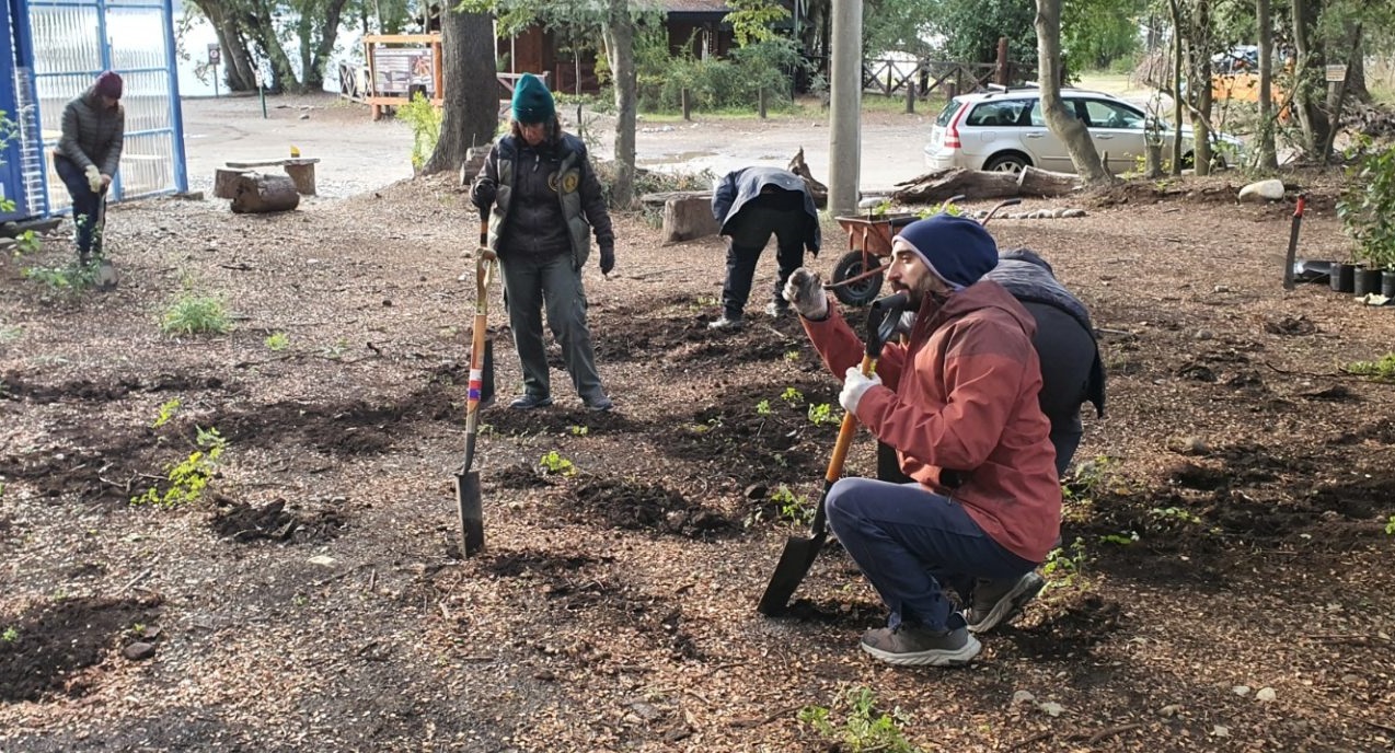 Reforestación y mejoras en la seccional Gutiérrez del Parque Nacional