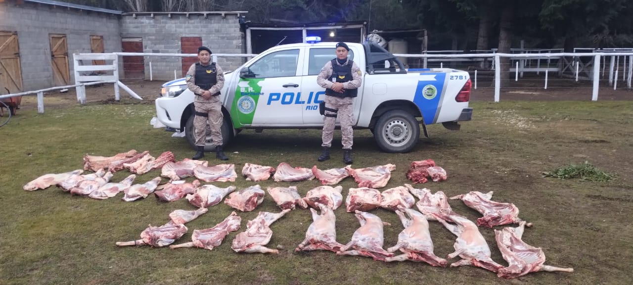 Dina Huapi: secuestran 500 kilos de carne faenada clandestinamente