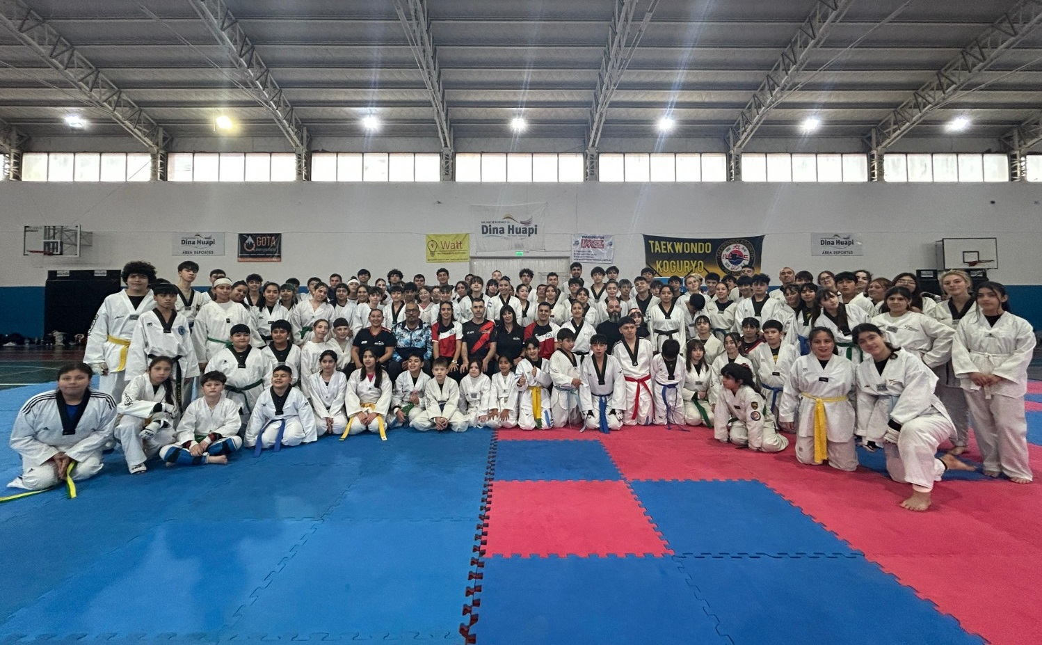 Dina Huapi vivió un gran festival de Taekwondo con más de 290 participantes de toda la región