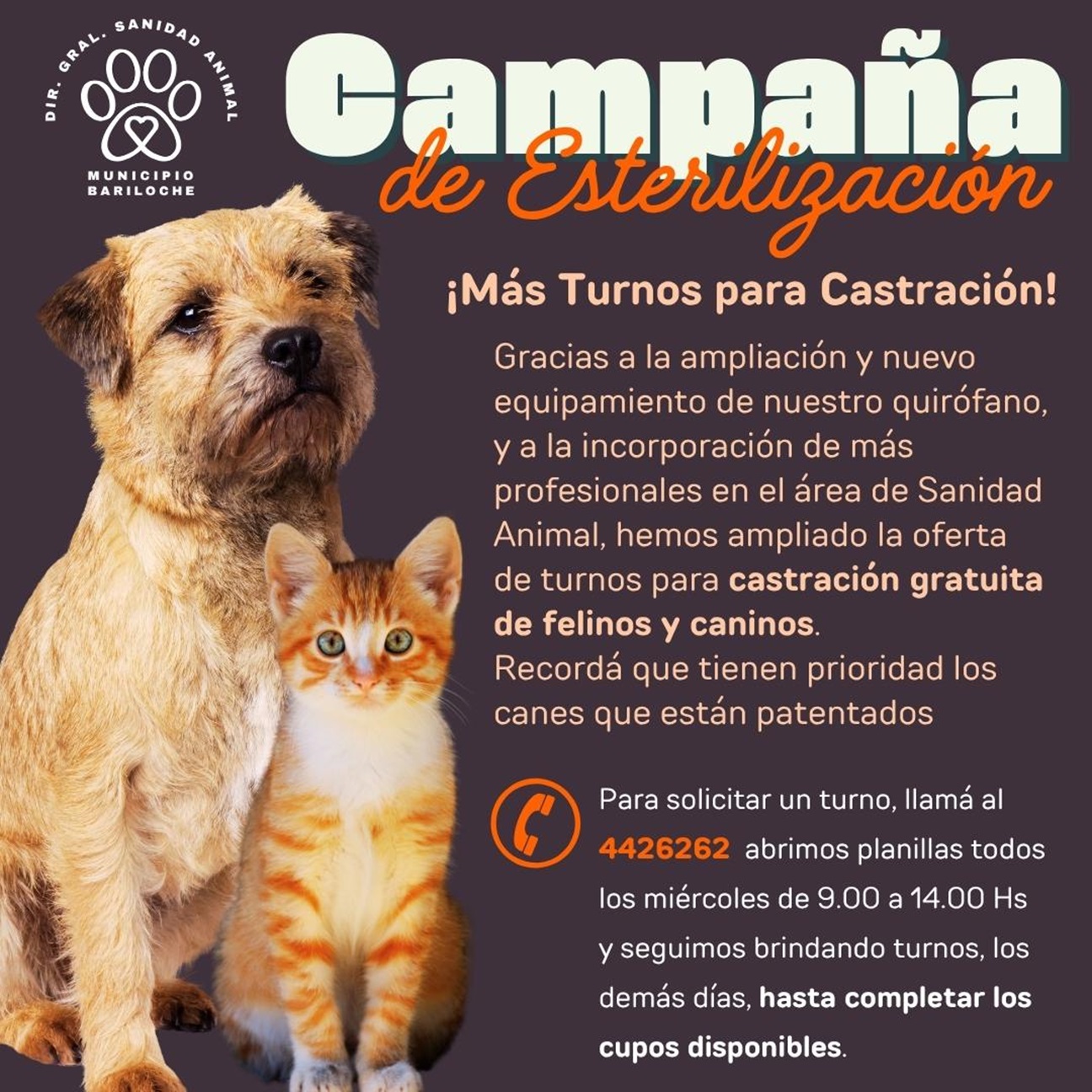 Más turnos en el área de Sanidad Animal