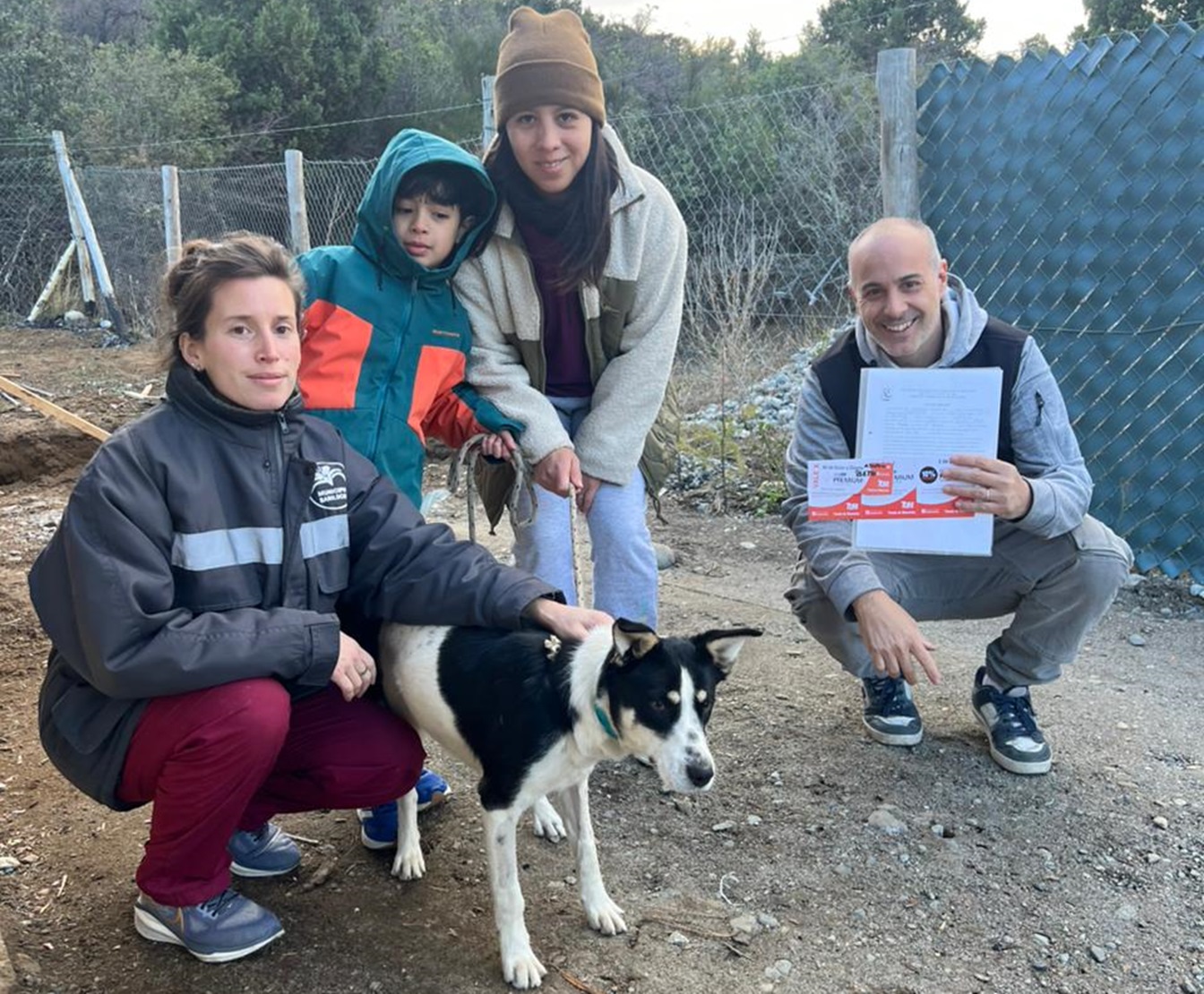 Continúan las adopciones en Sanidad Animal
