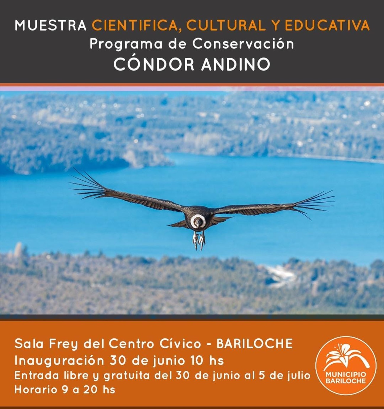 Muestra científica, cultural y educativa Cóndor Andino en la Sala Frey