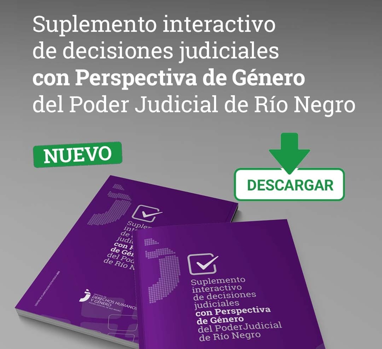 Río Negro: el Suplemento de sentencias con perspectiva de género ya analizó más de 90 fallos