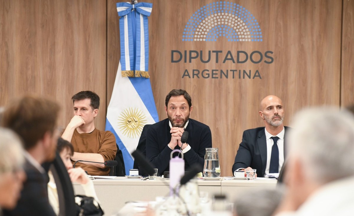 (((video))) La Comisión investigadora sobre la Criptomoneda $LIBRA aprobó reglamento interno